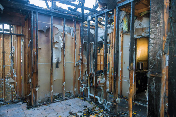 Professional Soot Cleanup technician working in Warren, OH